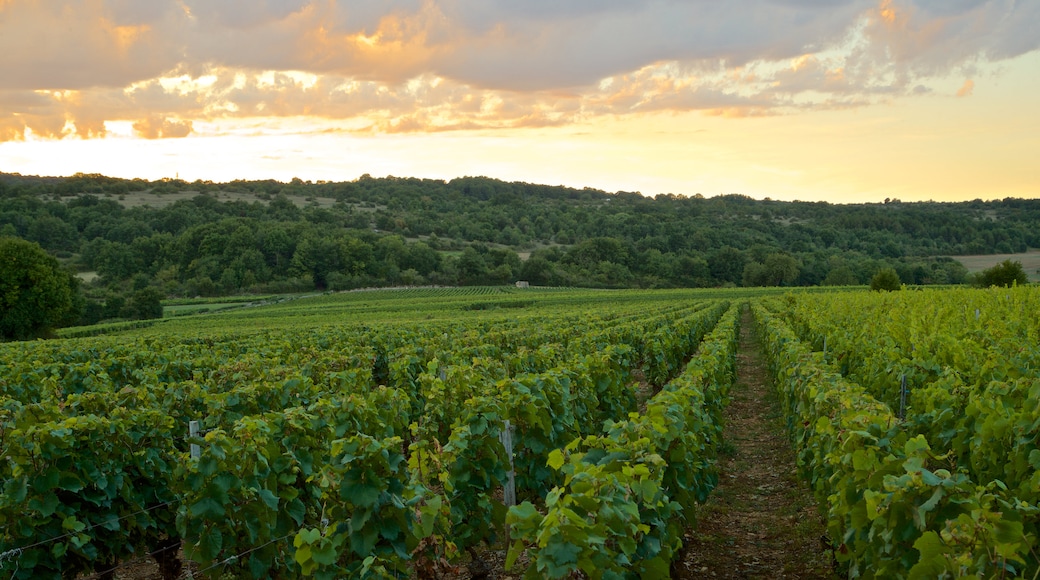 Beaune which includes landscape views, farmland and a sunset