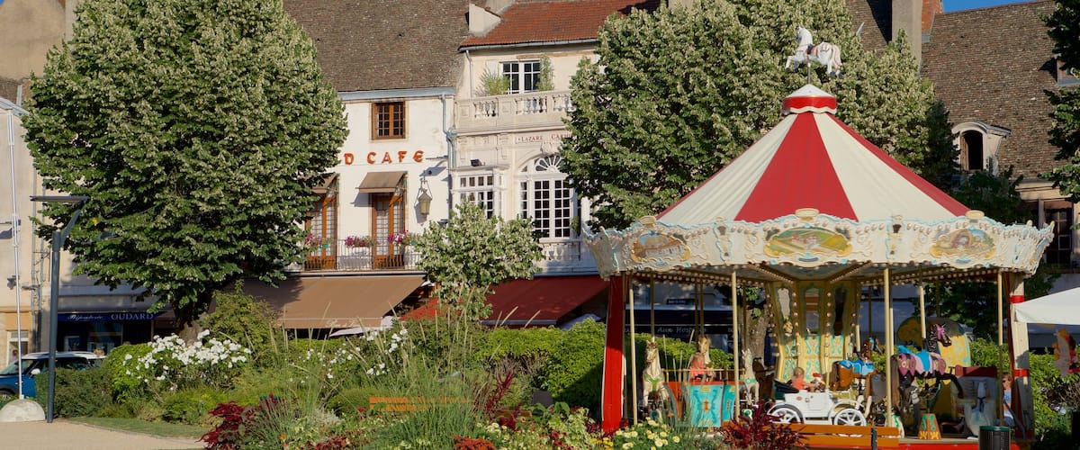 Beaune which includes wildflowers and a park