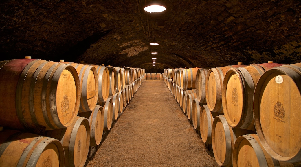 Château de Pommard inclusief interieur