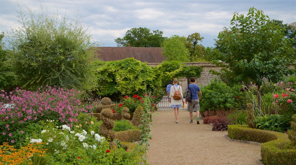 Château de Pommard mostrando fiori di campo e parco cosi come coppia