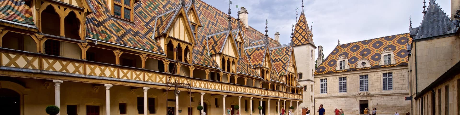 Hotel Dieu featuring a city