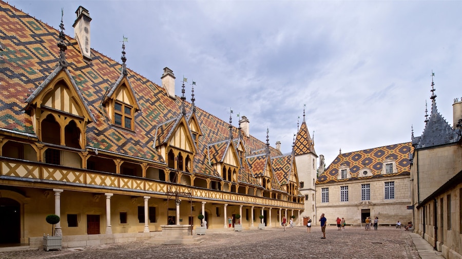 Hotel Dieu featuring a city