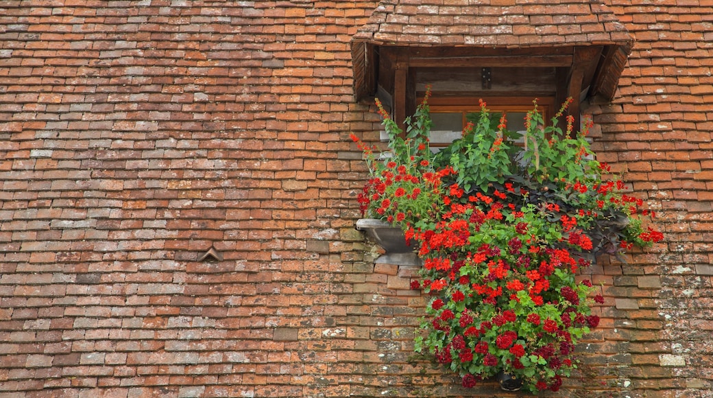 Beaune qui includes fleurs