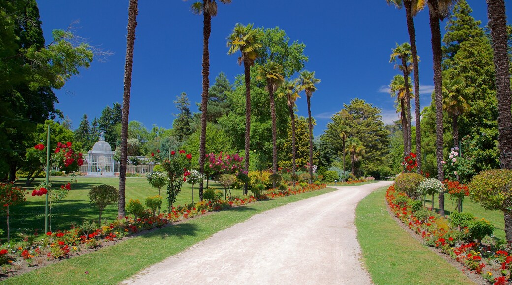 Jardin Massey toont wilde bloemen en een park