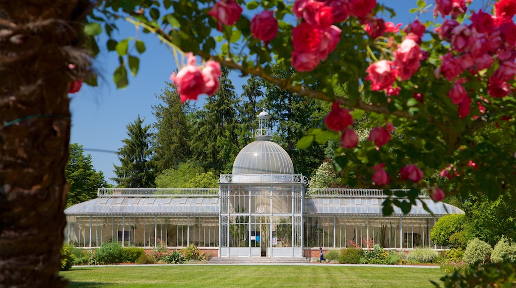 Massey Garden showing wild flowers and a garden