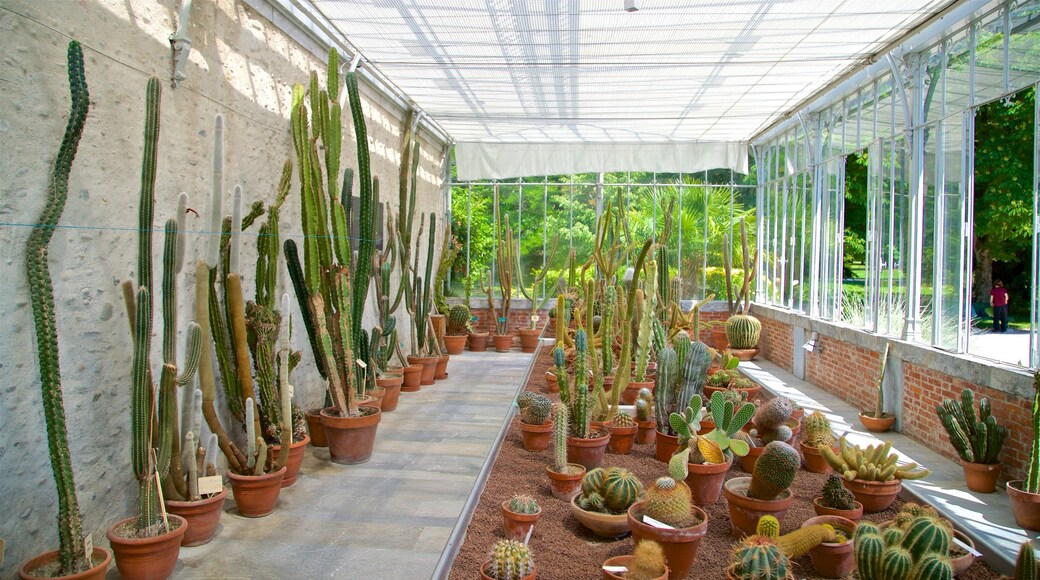 Jardin Massey toont een park en interieur