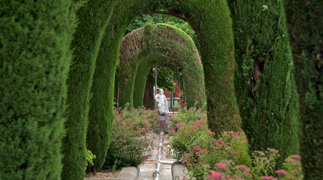 Lourdes - Tarbes mettant en vedette fleurs sauvages, jardin et statue ou sculpture