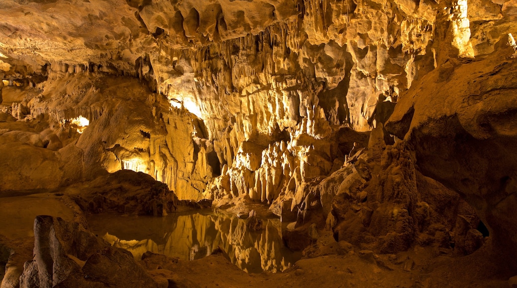 Grottes de Bétharram toont speleologie en grotten