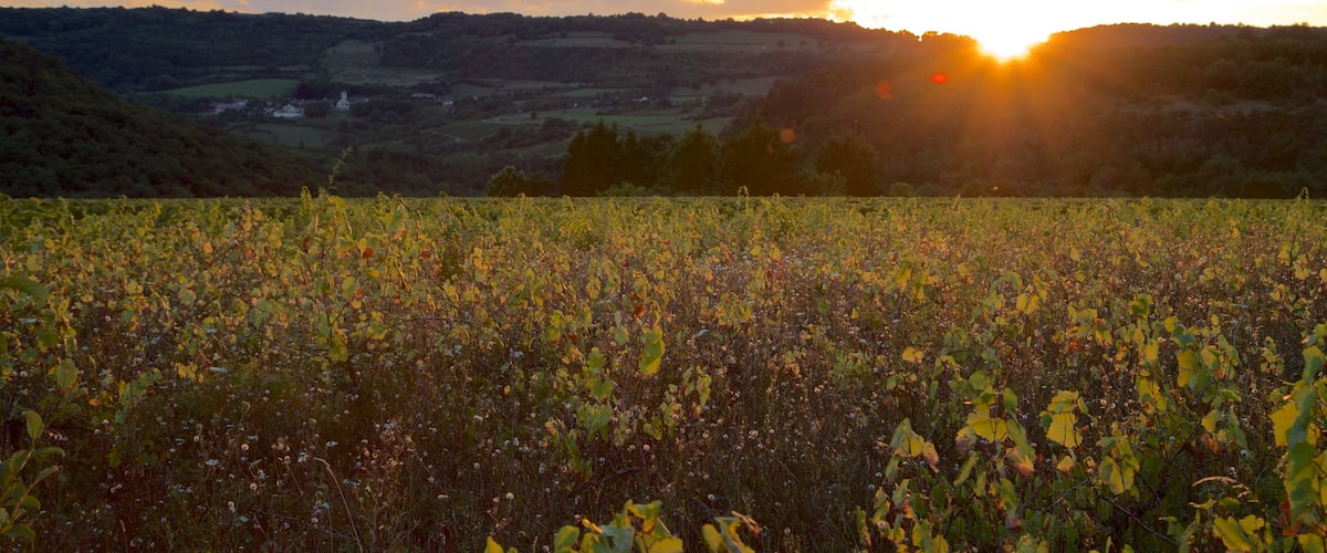 Beaune montrant scènes tranquilles, panoramas et coucher de soleil