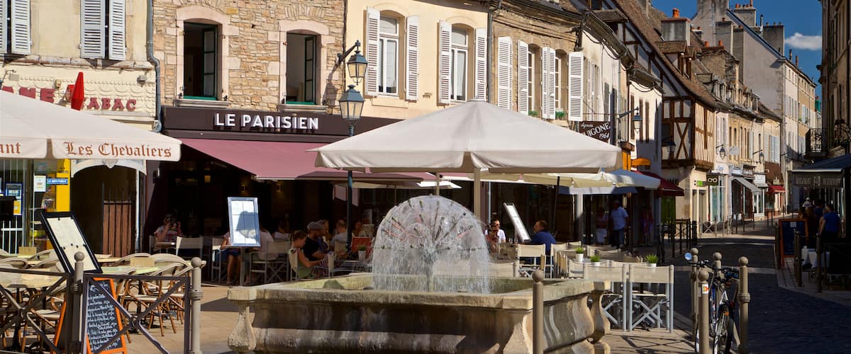Beaune which includes a fountain