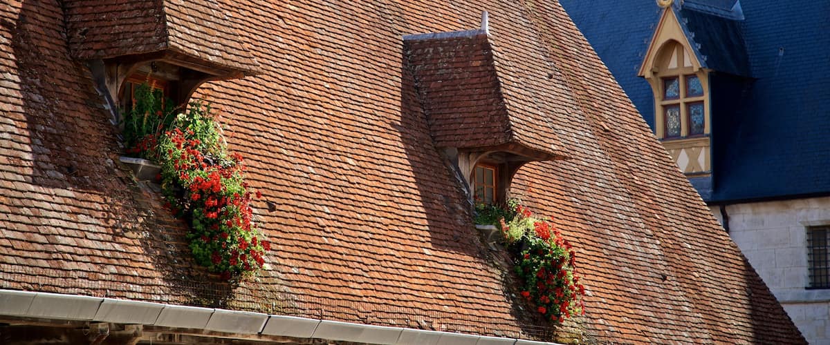 Beaune ofreciendo flores