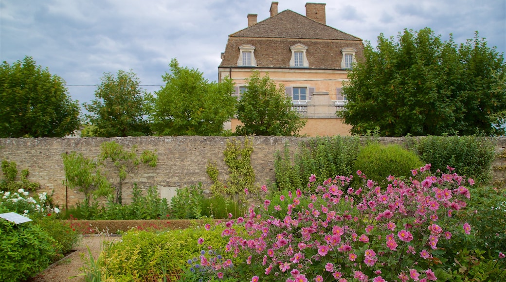 Castillo de Pommard mostrando flores silvestres y una casa