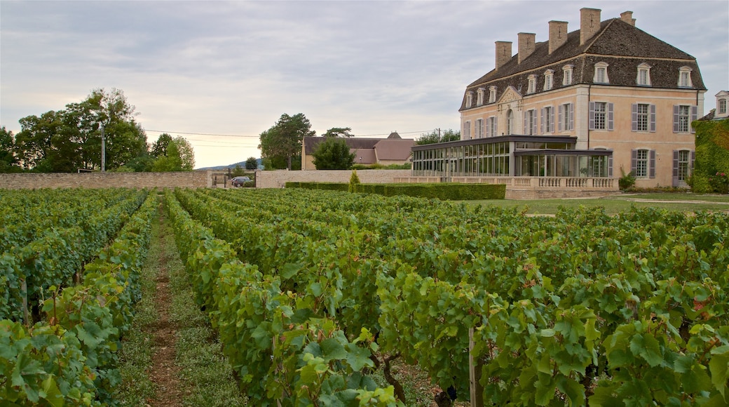 Chateau de Pommard featuring farmland and a house