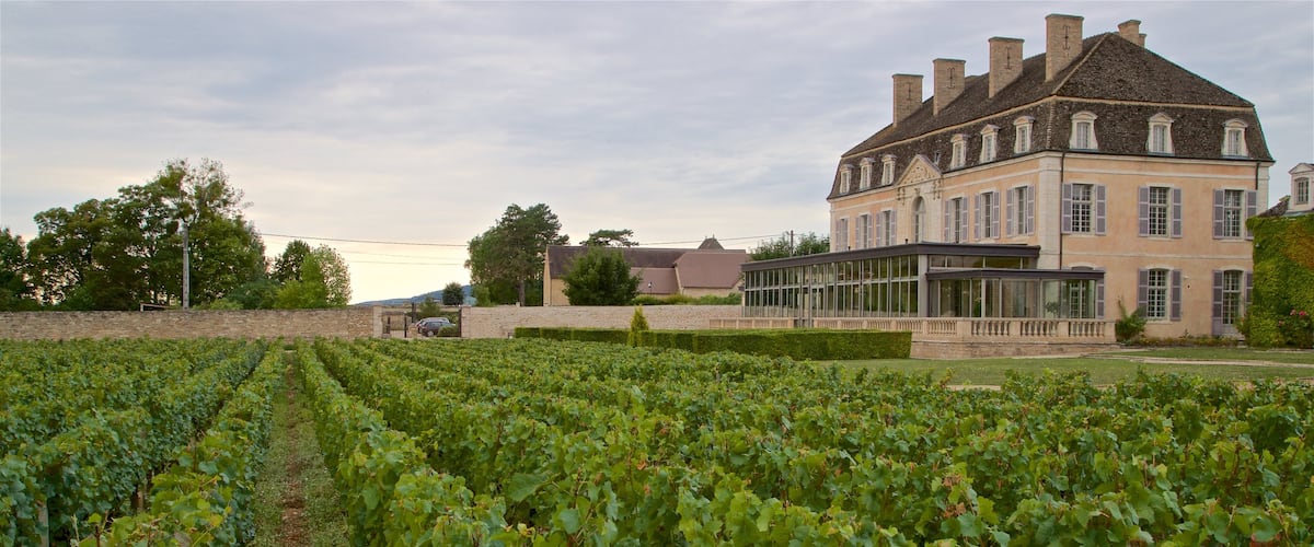 Chateau de Pommard featuring farmland and a house