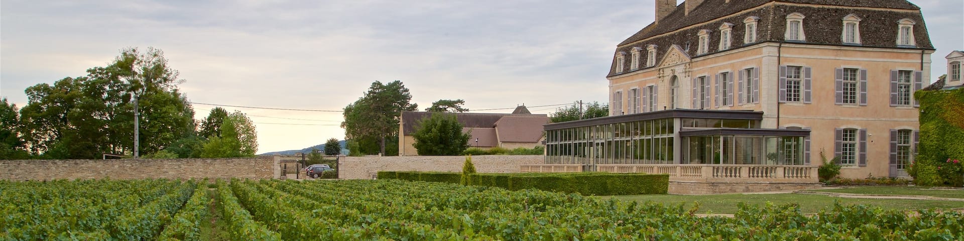 Chateau de Pommard featuring farmland and a house