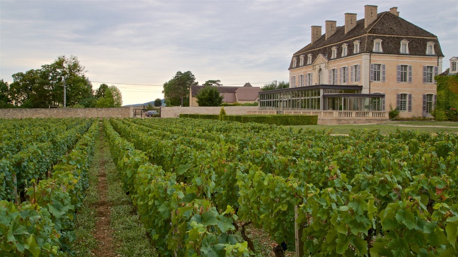 Chateau de Pommard featuring farmland and a house