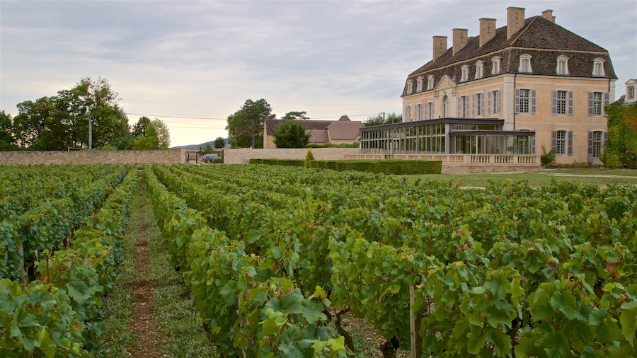Chateau de Pommard which includes a house and farmland