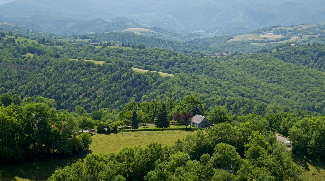 Mauvezin Chateau showing tranquil scenes and landscape views