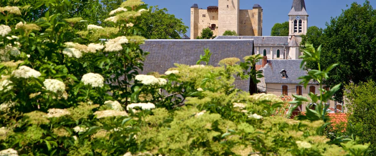 Mauvezin Chateau which includes wildflowers