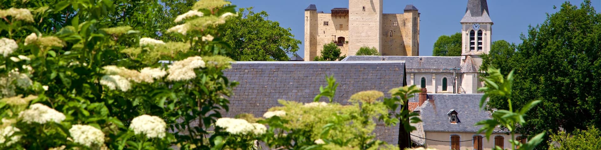 Mauvezin Château das einen Wildblumen
