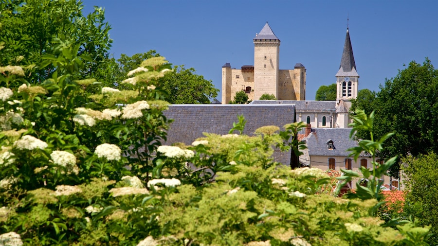 Mauvezin Chateau which includes wildflowers