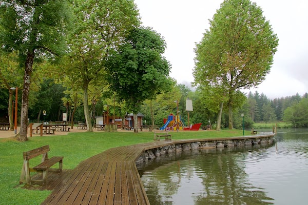 Lac de Lourdes welches beinhaltet Park und See oder Wasserstelle