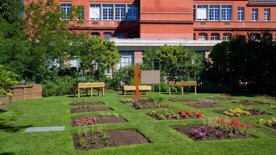 Jardin des Plantes which includes flowers and a garden