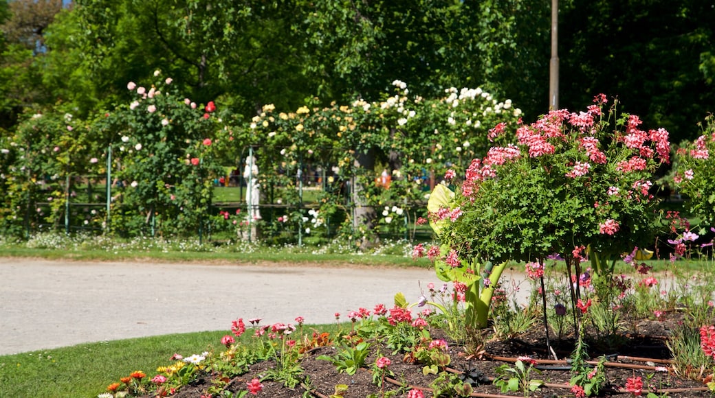 Jardin des Plantes showing a park, wild flowers and flowers