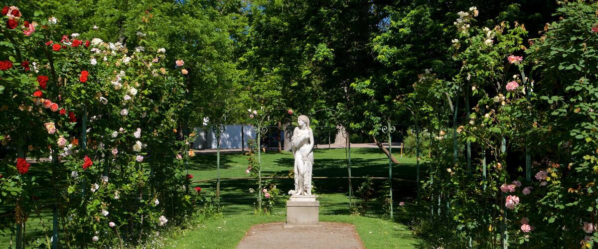 Jardin des Plantes bevat een standbeeld of beeldhouwwerk, wilde bloemen en bloemen