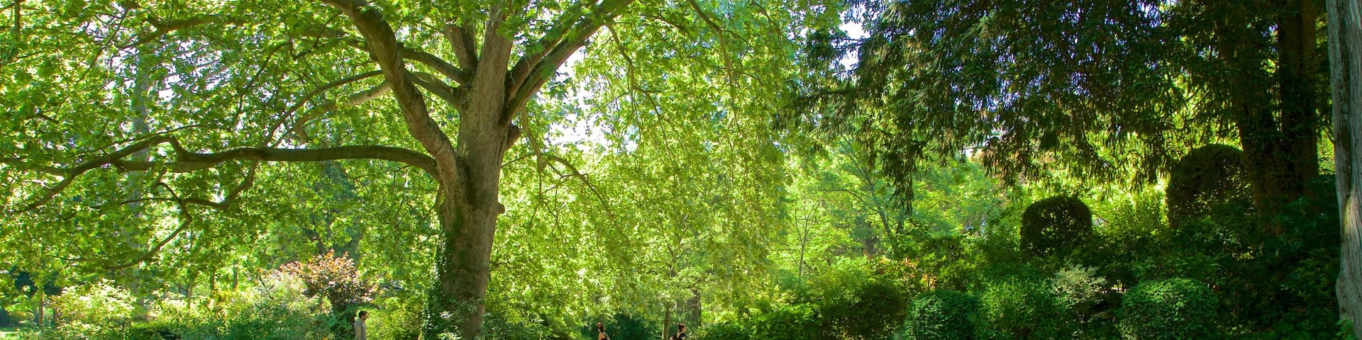 Jardin des Plantes showing a river or creek and a park