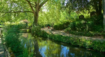 Jardin des Plantes showing a river or creek and a park