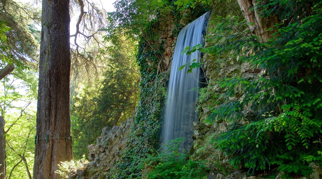 Jardin des Plantes which includes a waterfall