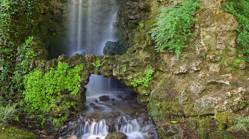 Jardin des Plantes welches beinhaltet Wasserfall