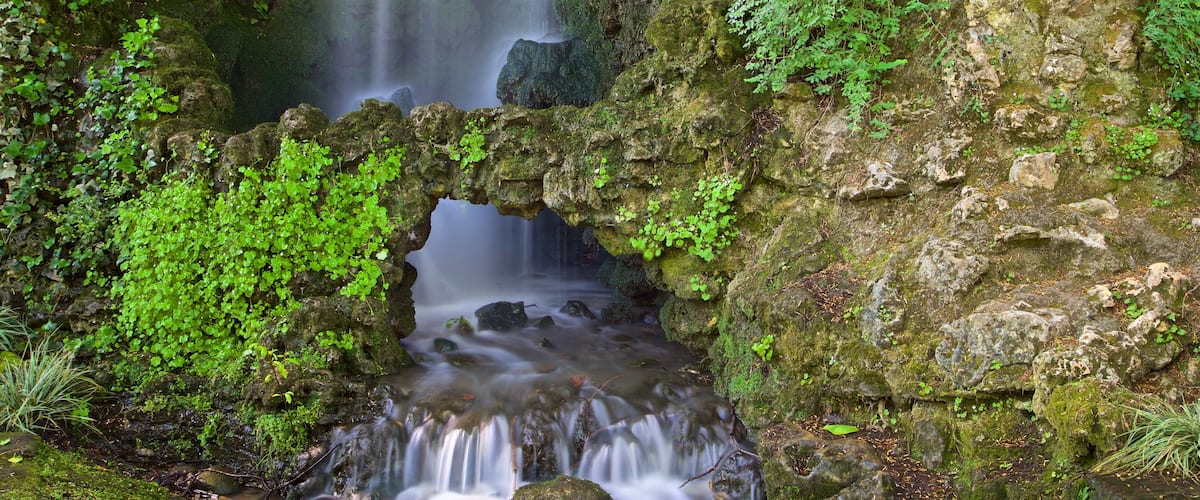 Jardin des Plantes montrant cascade