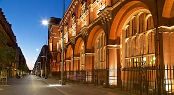 Musée des Augustins de Toulouse mettant en vedette scènes de nuit, patrimoine architectural et ville