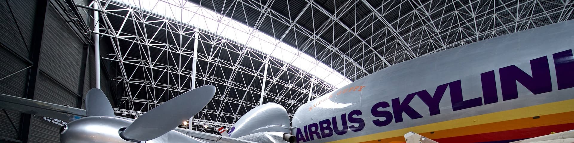 Airbus showing aircraft and interior views