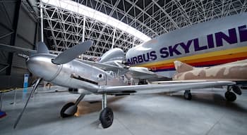 Airbus showing aircraft and interior views