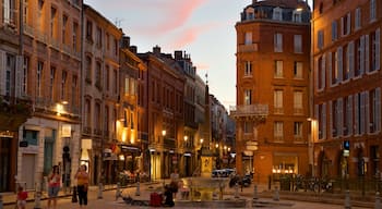 Cathédrale Saint-Étienne mostrando una ciudad, una fuente y escenas cotidianas