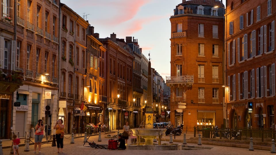 Saint Etienne Cathedrale showing a sunset, a fountain and a city