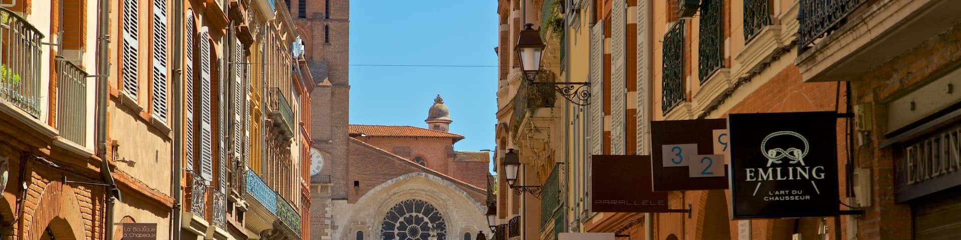 Saint Etienne Cathedrale which includes a city