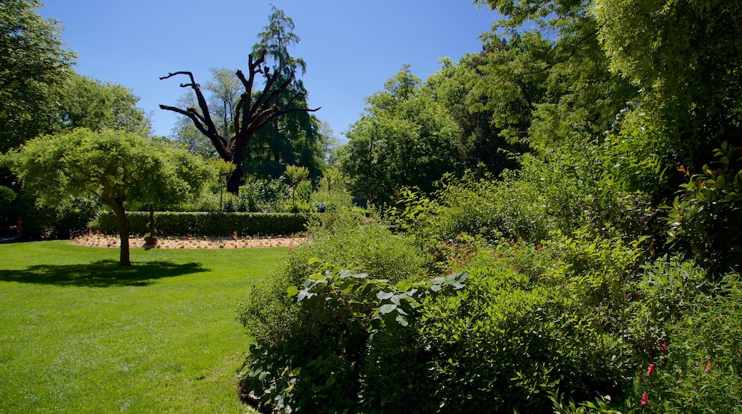 Jardin Royal joka esittää puutarha