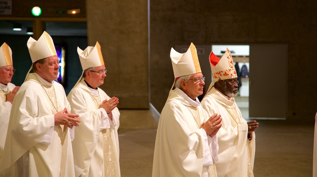 Basilika Pius X welches beinhaltet Innenansichten, Kirche oder Kathedrale und religiöse Elemente