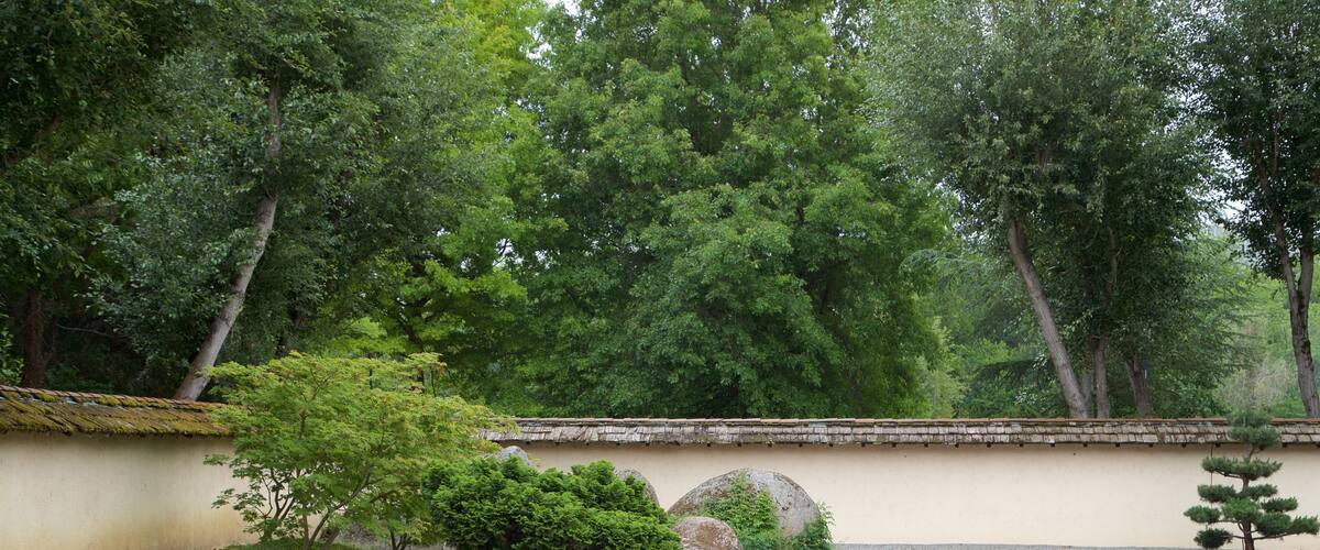 Jardin japonais de Toulouse montrant jardin