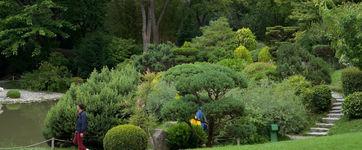 Japanese Garden Toulouse which includes a pond and a garden as well as an individual male