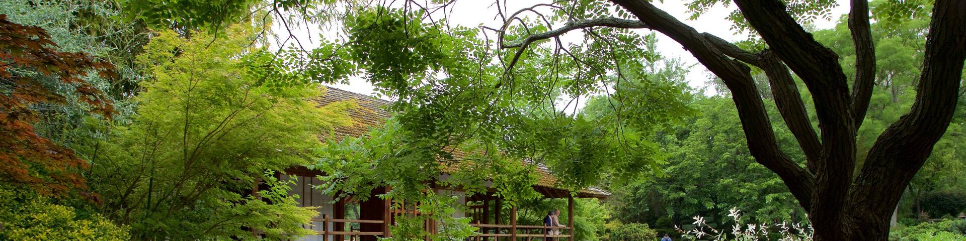 Japanese Garden Toulouse featuring a pond and a garden