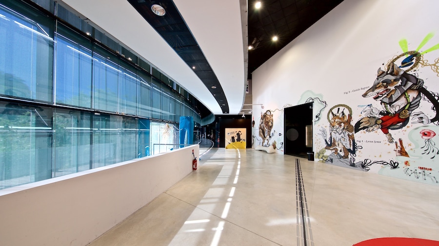 Museum Toulouse