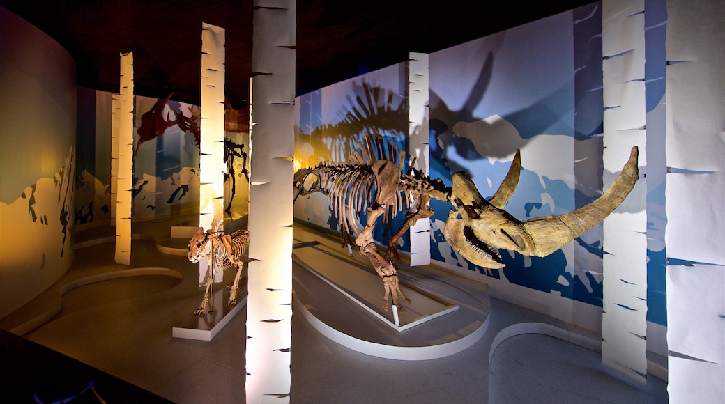 Muséum de Toulouse inclusief interieur