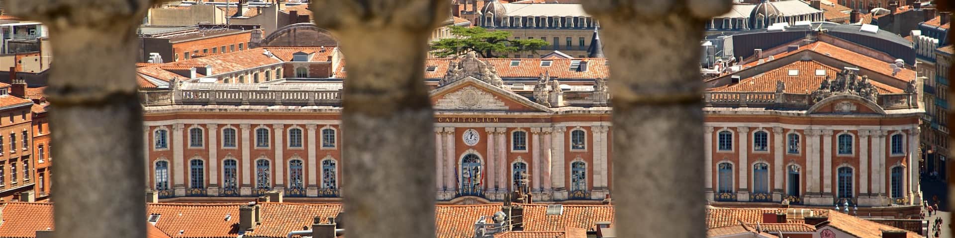 Church of the Jacobins featuring a city