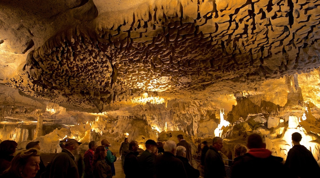 Grotte di Bétharram caratteristiche di speleologia e grotte cosi come un piccolo gruppo di persone