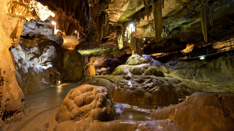 Betharram Caves which includes caves